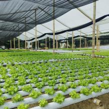 LA CVC IMPULSA LA EFICIENCIA ENERGÉTICA CON LA ENTREGA DE PANELES SOLARES