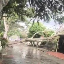 SEPA QUÉ HACER ANTE LAS CONSECUENCIAS NATURALES QUE DEJAN LAS LLUVIAS