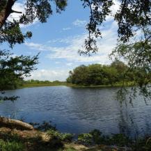 MONITOREO TÉCNICO PARA LA PROTECCION DE SUS SERVICIOS ECOSISTEMICOS