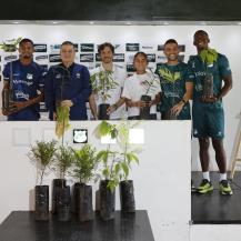 CON PRIMEROS 50 ÁRBOLES DEPORTIVO CALI SE UNE A ‘VALLE MÁS VERDE’ DE LA CVC