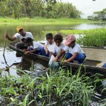 3.000 ALEVINOS DE BOCACHICO SE SEMBRARON EN EL HUMEDAL EL CABEZÓN
