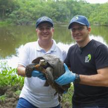 429 ANIMALES SILVESTRES VUELVEN A LA LIBERTAD EN GRAN JORNADA DE CONSERVACIÓN EN BOLÍVAR