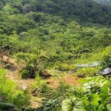 LA CVC DETECTA SEÑALES DE REACTIVACIÓN MINERA ILEGAL EN RÍO DAGUA