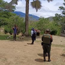 LA CVC TRASLADÓ A LA FISCALÍA CASO DE MONOS CARIBLANCOS EXHIBIDOS EN REDES SOCIALES