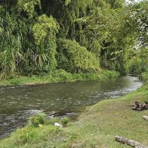 PROYECTO COMUNITARIO BUSCA CONSERVAR EL RÍO BOLO