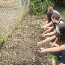 DE MATERNO A GRADO ONCE, INSTITUCION EDUCATIVA UNE A ESTUDIANTES Y PADRES EN UNA HUERTA ORGÁNICA      