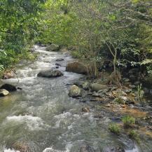 LA CVC INVITA A PARTICIPAR EN LOS CONSEJOS DE CUENCA QUE AYUDAN A PROTEGER EL AGUA