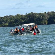 AL RESCATE DE BALLENAS, DELFINES, TORTUGAS MARINAS Y TIBURONES BALLENA
