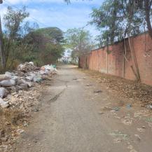 JARILLÓN DEL RÍO CAUCA MANTIENE SU INTEGRIDAD TRAS EL TERREMOTO REGISTRADO EN CALI