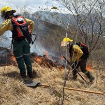 LA CVC REPORTA CERCA DE 50 INCENDIOS FORESTALES EN 21 MUNICIPIOS DEL VALLE DEL CAUCA