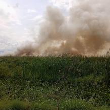 INCENDIO GOLPEÓ DIRECTAMENTE AL HUMEDAL TIACUANTE