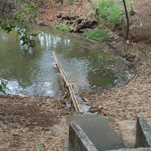 44.000 LITROS DE AGUA ALIVIARON LA SEQUÍA DEL HUMEDAL EL LIMONAR EN CALI
