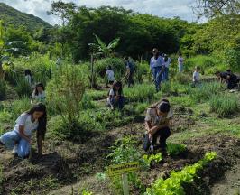 HUERTA ESCOLAR DE COLEGIO PÚBLICO EN EL DOVIO FLORECE COMO UN LABORATORIO AGROECOLÓGICO