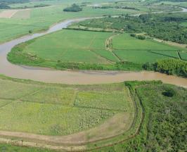 SE HAN RESTAURADO 150 HECTÁREAS DE FRANJAS FORESTALES PROTECTORAS DEL RÍO CAUCA