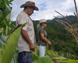 DEL CAMPO A LA MESA: CVC IMPULSA LA SOSTENIBILIDAD ALIMENTARIA EN VIJES