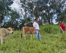 CVC SIGUE FORTALECIENDO PRÁCTICAS SILVOPASTORILES INNOVADORAS CON GANADEROS DE DAGUA