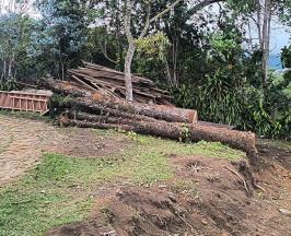 CVC DETUVO CONSTRUCCIÓN SIN PERMISO EN DAPA, YUMBO