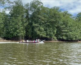 MANGLARES DEL PACÍFICO VALLECAUCANO: CULTURA, COMUNIDAD Y CONSERVACIÓN TERRITORIAL