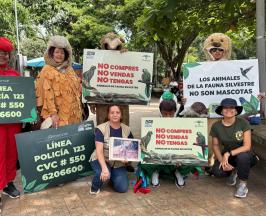 “¡ALTO, FAUNA EN LA VÍA!”: LA CVC INVITA A PROTEGER LA VIDA SILVESTRE EN CARTAGO Y EL NORTE DEL VALLE