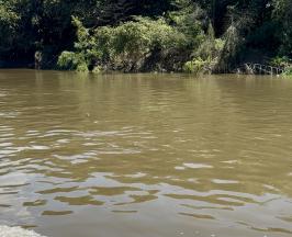 EL RÍO CAUCA NOS HABLA. CONOCE LA TRAVESÍA PARA ESCUCHARLO Y PROTEGERLO