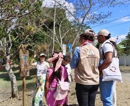 “LAS INICIATIVAS JUVENILES AMBIENTALES DE LA CVC NOS ABRIERON LAS PUERTAS”: FUNDACIÓN ENTRE MONTAÑAS, DE DAGUA