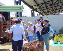 50 FAMILIAS CAMPESINAS DE DAGUA RECIBIERON INSUMOS DE SEGURIDAD ALIMENTARIA