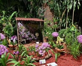 INICIÓ CALIORQUÍDEAS 2025