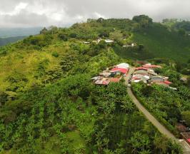 EVENTO EN SEVILLA Y CAICEDONIA FORTALECE LA ARTICULACIÓN ENTRE NEGOCIOS VERDES Y OPERADORES TURÍSTICOS