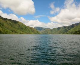 HACE 40 AÑOS SE INAUGURÓ SALVAJINA Y CAMBIÓ LA HISTORIA DEL VALLE DEL CAUCA