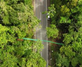 NUEVOS PASOS DE FAUNA SILVESTRE EN EL VALLE PARA DAR VÍA A LA VIDA