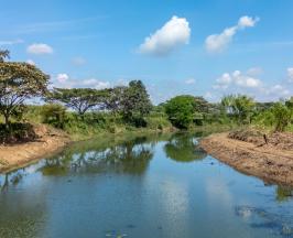 LA CVC INVIRTIÓ $1.700 MILLONES EN LA RECUPERACIÓN Y MANTENIMIENTO DE 23 HUMEDALES 