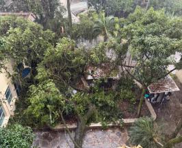 LLUVIAS EN CALI SUPERARON ESTÁNDARES INTERNACIONALES