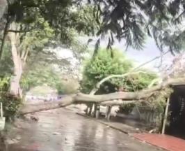 SEPA QUÉ HACER ANTE LAS CONSECUENCIAS NATURALES QUE DEJAN LAS LLUVIAS