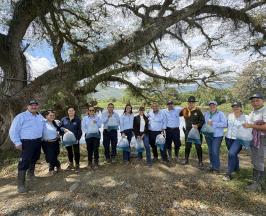 15.000 ALEVINOS DE BOCACHICO FUERON SEMBRADOS EN HUMEDALES DE BUGALAGRANDE