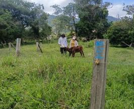 TRABAJOS EN PREDIOS AFECTADOS POR ATAQUE DE FELINOS APUESTAN POR LA COEXISTENCIA