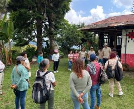 EN SEVILLA, JÓVENES FORTALECEN PROCESOS DE CONSERVACIÓN DE LA RANA RUBÍ