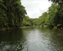 ¿QUÉ ESTÁ PASANDO CON EL CLIMA?