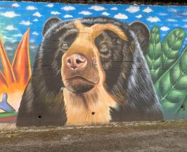 EL ÁGUILA VIVIÓ EL PRIMER FESTIVAL DEL OSO ANDINO