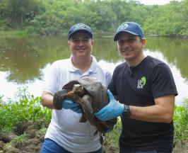 429 ANIMALES SILVESTRES VUELVEN A LA LIBERTAD EN GRAN JORNADA DE CONSERVACIÓN EN BOLÍVAR