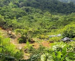 LA CVC DETECTA SEÑALES DE REACTIVACIÓN MINERA ILEGAL EN RÍO DAGUA