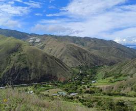 PROYECTO MULALÓ-LOBOGUERRERO AVANZA EN COMPENSACIÓN AMBIENTAL DENTRO DEL DRMI ATUNCELA