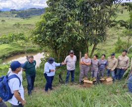 EN ZONA RURAL DE YOTOCO, SE REALIZÓ SIEMBRA DE ÁRBOLES, ENMARCADA EN LA LEY DE ÁREAS DE VIDA