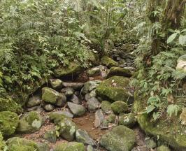 CVC HACE UN LLAMADO A CUIDAR EL AGUA Y A LA PREVENCIÓN DE INCENDIOS FORESTALES