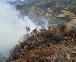 DOS MESES DE LLAMAS EN ZONA RURAL DE BUGA. LA BATALLA NO DA TREGUA