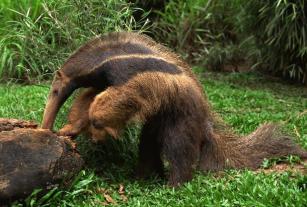 Centro de Educación Ambiental Embalse de Guacas CVC