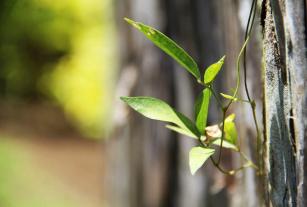 Centro de educación ambiental San Emigdio galería de imágenes 