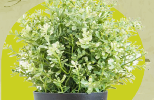 Registro Libro de Operaciones