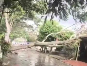SEPA QUÉ HACER ANTE LAS CONSECUENCIAS NATURALES QUE DEJAN LAS LLUVIAS