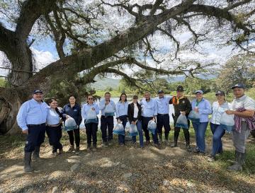 15.000 ALEVINOS DE BOCACHICO FUERON SEMBRADOS EN HUMEDALES DE BUGALAGRANDE