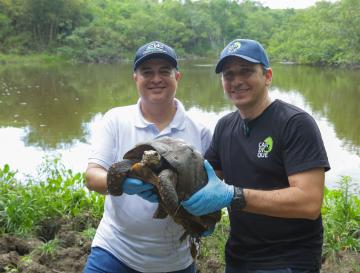 429 ANIMALES SILVESTRES VUELVEN A LA LIBERTAD EN GRAN JORNADA DE CONSERVACIÓN EN BOLÍVAR